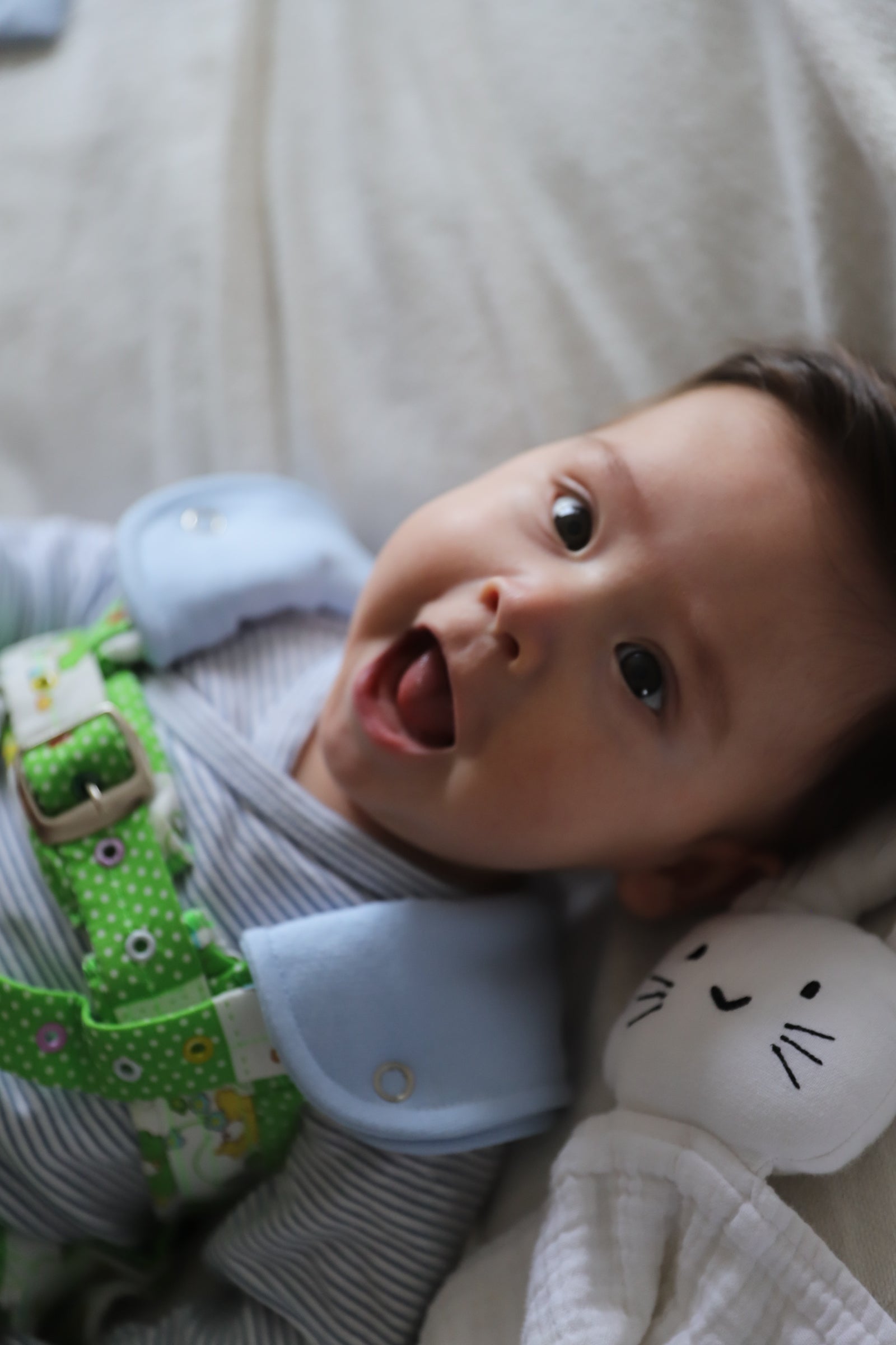 Pack cubre hebillas y arnés image 1