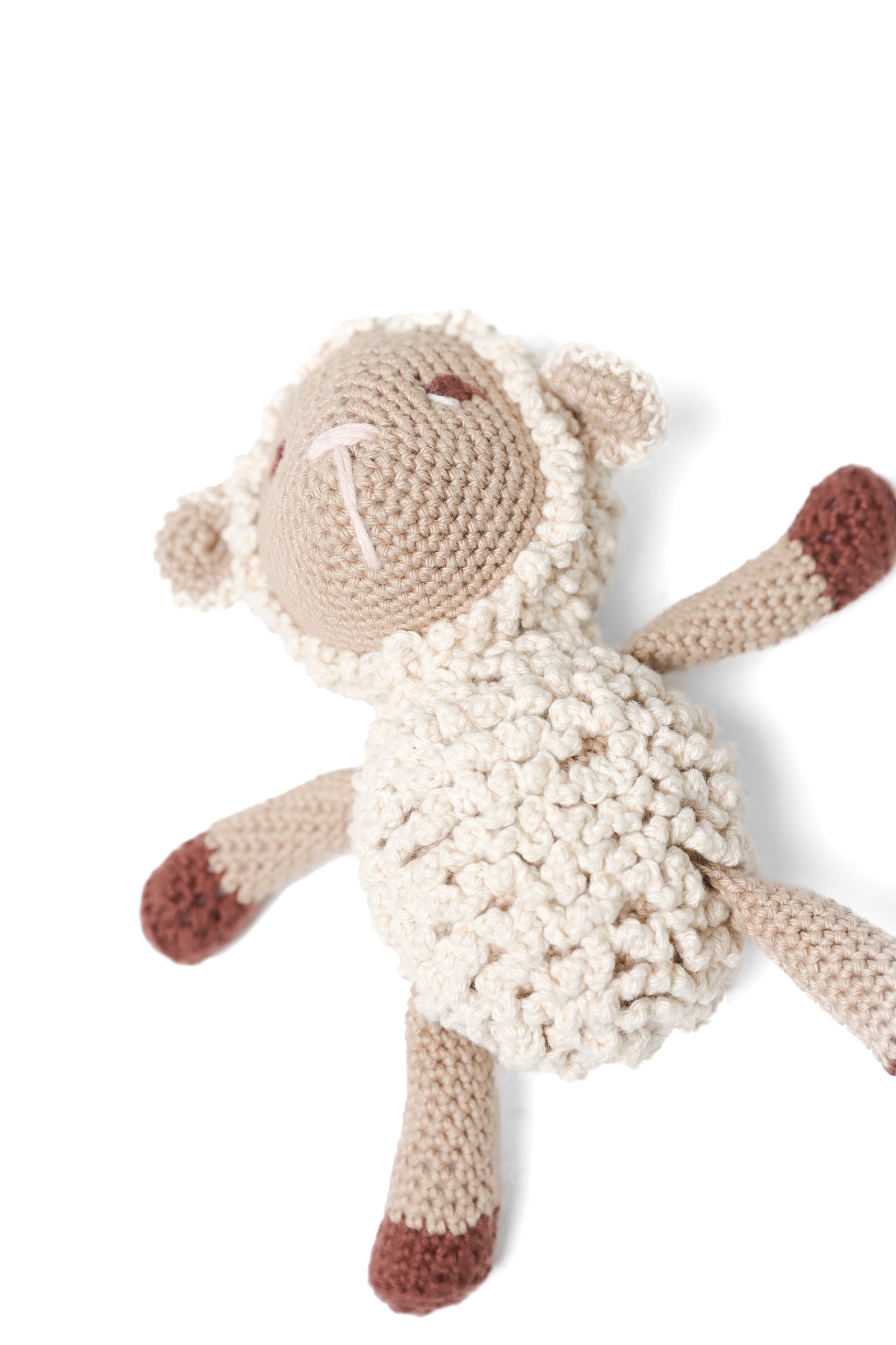 ⁠La Oveja Laura image 0